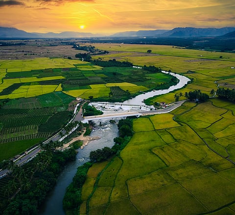 Aerial view of lush fields in Theni, Tamil Nadu